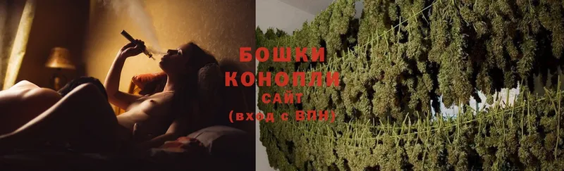 Канабис White Widow  Зима 